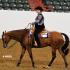 Mid-South QHA Spring Circuit